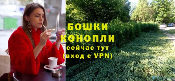 хмурый Горно-Алтайск