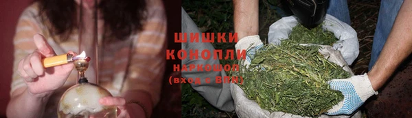 дурь Горняк