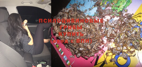 СК Горнозаводск