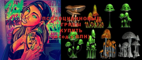 хмурый Горно-Алтайск