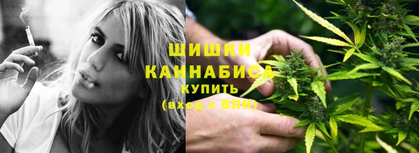 дурь Горняк