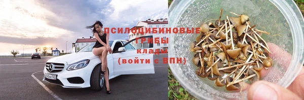 хмурый Горно-Алтайск