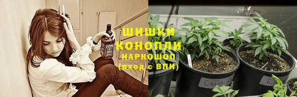 СК Горнозаводск