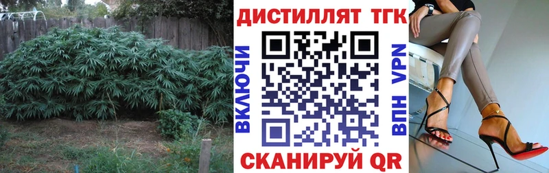 Купить закладки  Подпорожье  ТГК вейп 