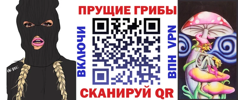 Галлюциногенные грибы Psilocybe  Купить  Подпорожье 